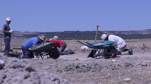 Peones y arqueólogos trabajan en una de las catas abiertas